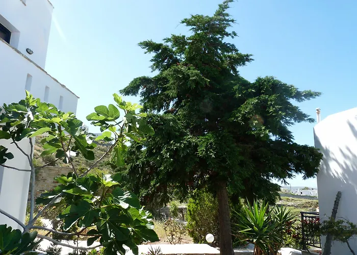 Paradisia Naxos City